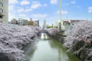 目黒で人気の脱毛サロン比較表